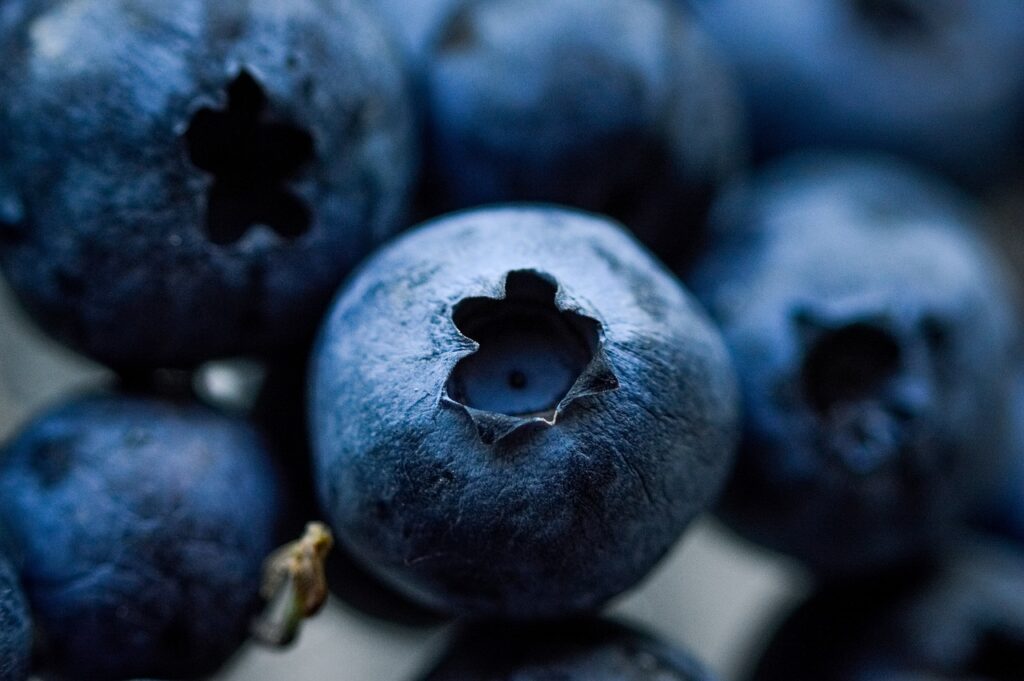 blueberries, berry, blueberry, healthy, blue, vitamins, fresh, fruit, organic, blueberries, blueberries, blueberry, blueberry, blueberry, blueberry, blueberry, fruit